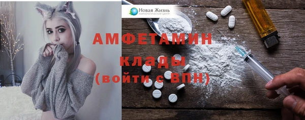 индика Абинск
