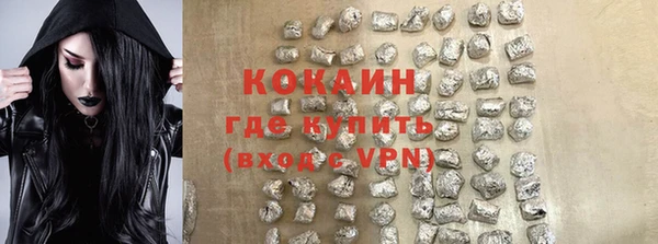 индика Абинск
