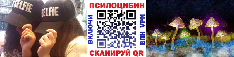 omg ссылки  Севастополь  Галлюциногенные грибы GOLDEN TEACHER  где можно купить наркотик 